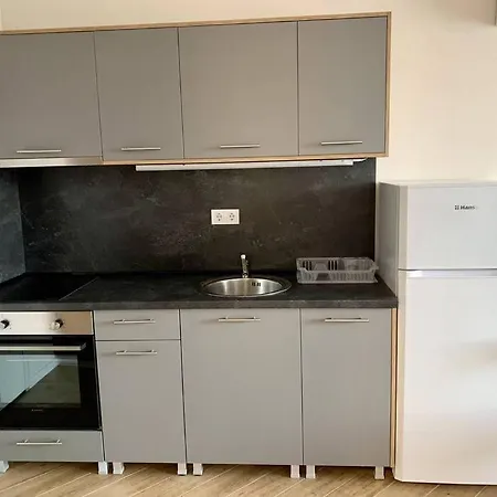 Spacious Apartment Near New Bulgarian University Apartment